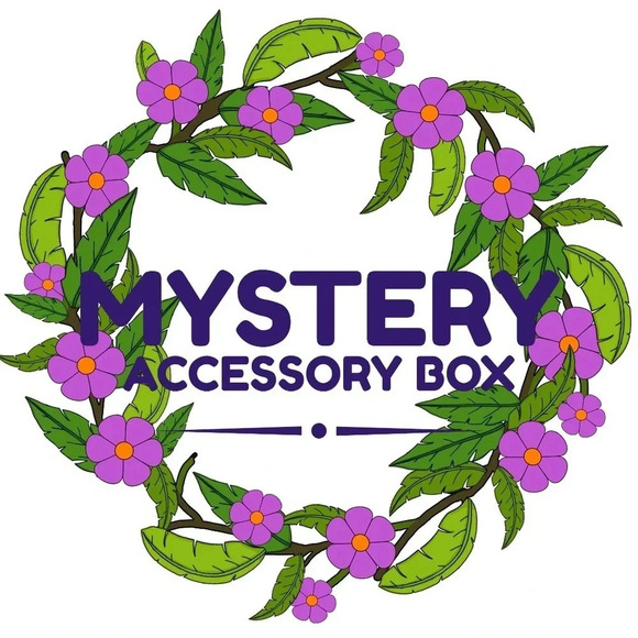 Mystery Jewelry & Accessory Box - Picture 1 of 2